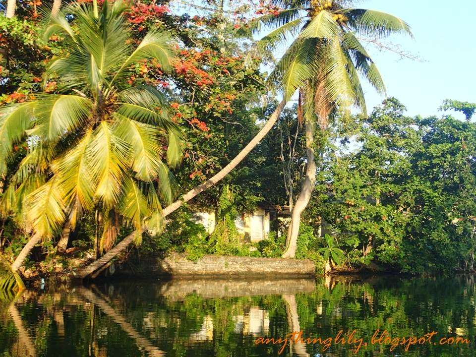 anythinglily: Sri Lanka Trave Pt 4: Madu Ganga River Safari