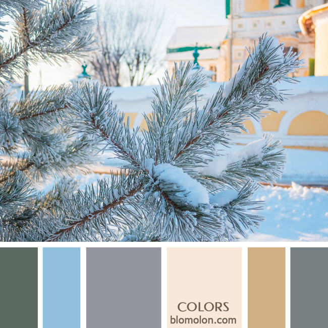 variedad en color paletas de colores 88 variedad_en_color_paletas_de_colores_88