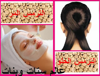 كيف أتعرف على الترمس المر والحلو بالصور؟ الفرق بين الترمس الحلو والمر