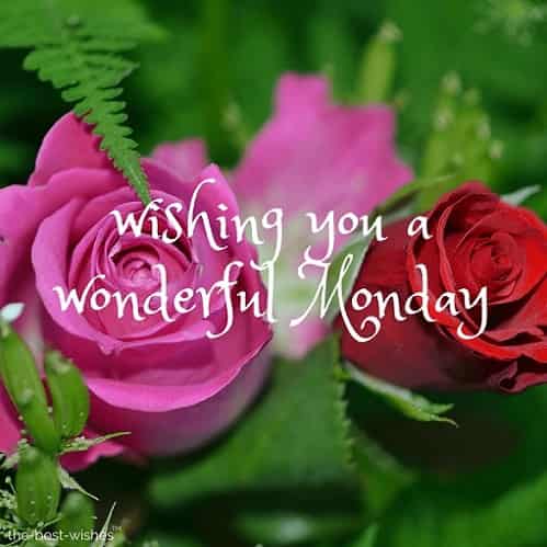 good-morning-wishing-you-a-wonderful-monday good morning wishing you a wonderful monday