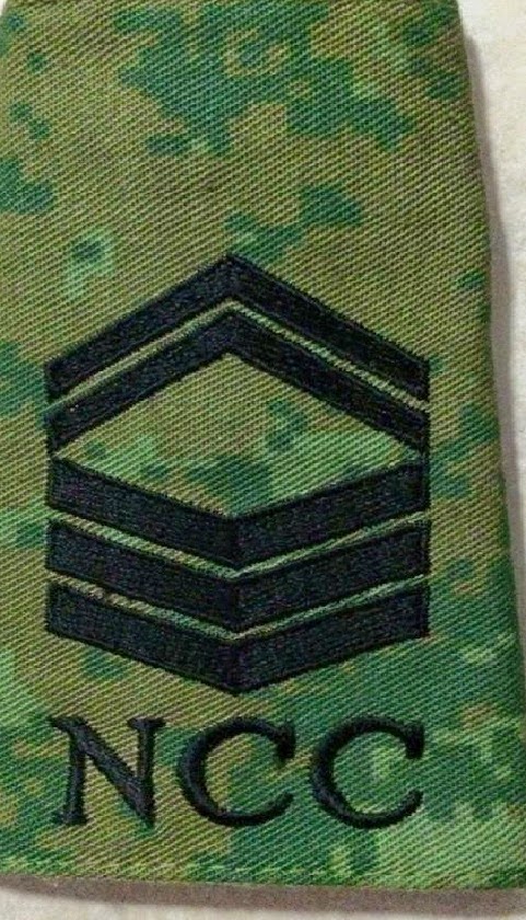Ncc Ranks Sg MJRNCC: Ranks