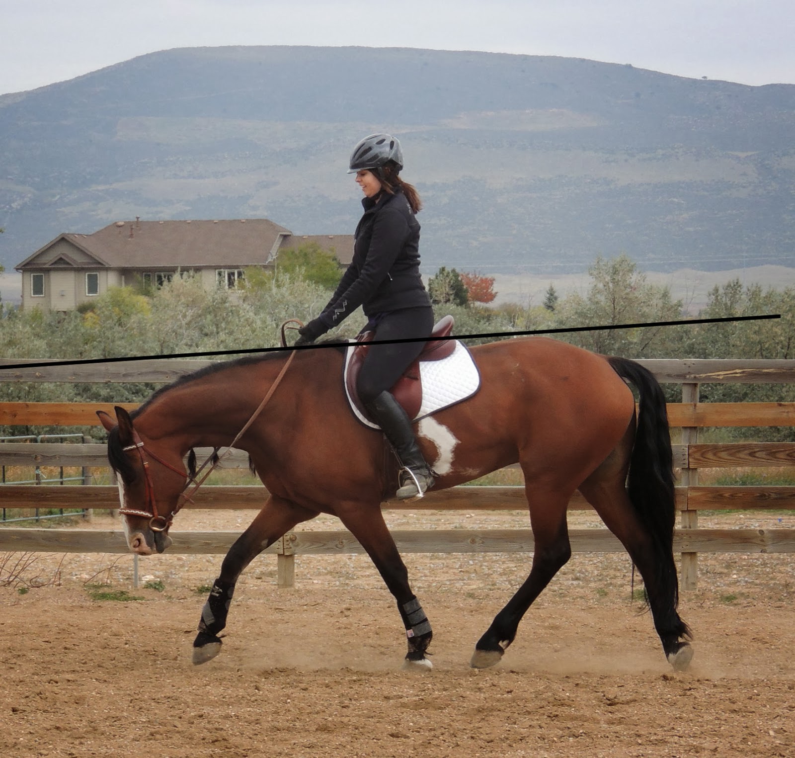 Bit of Honey Training Collection, Head Position, and Body Mechanics