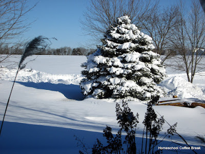 A Snow Day PhotoJournal on Homeschool Coffee Break @ kympossibleblog.blogspot.com