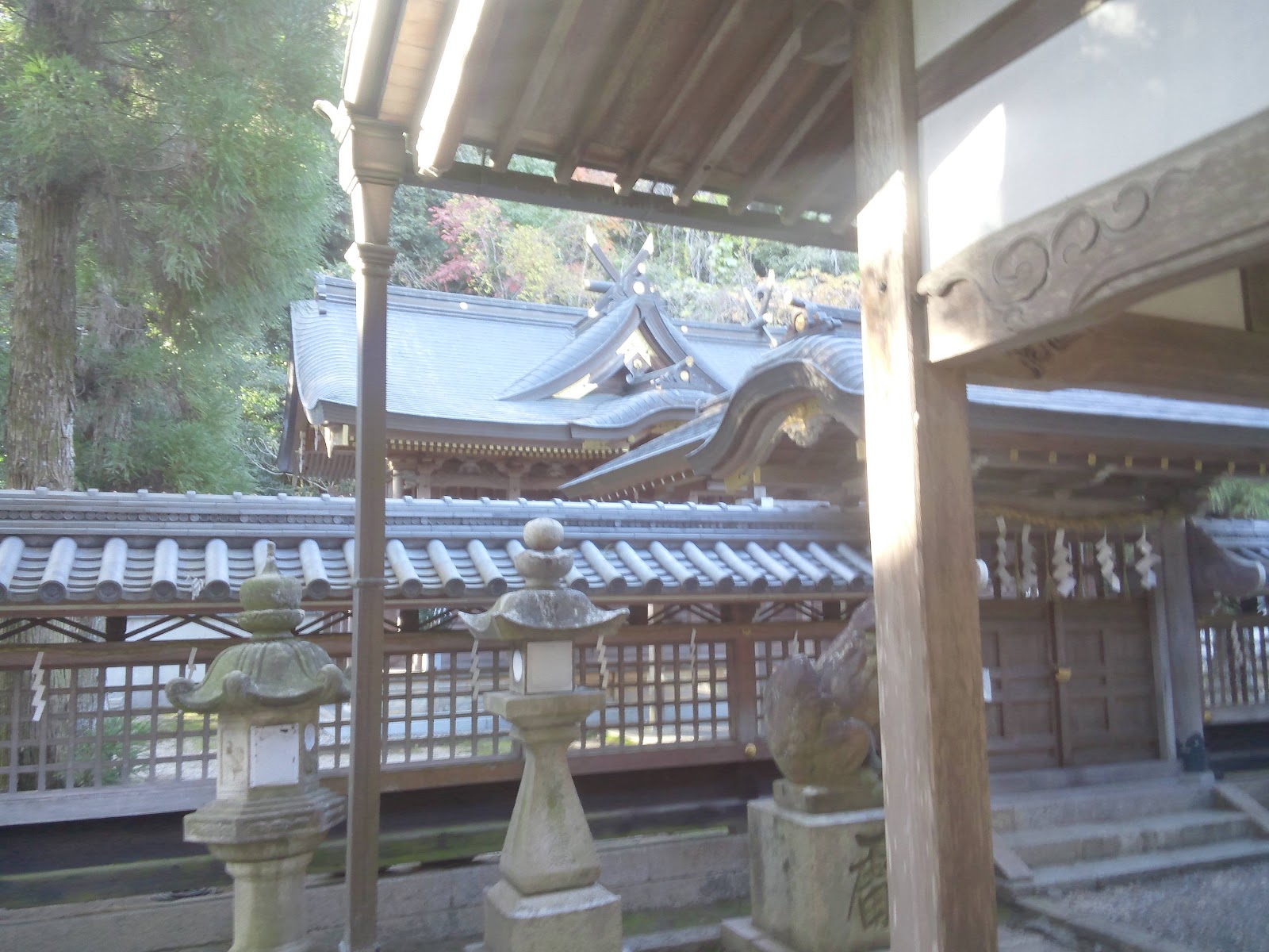 龍神研究覚書 美具久留御魂神社