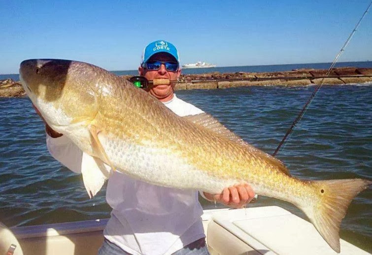Big Fishes of the World DRUM RED REDFISH (Sciaenops ocellatus)