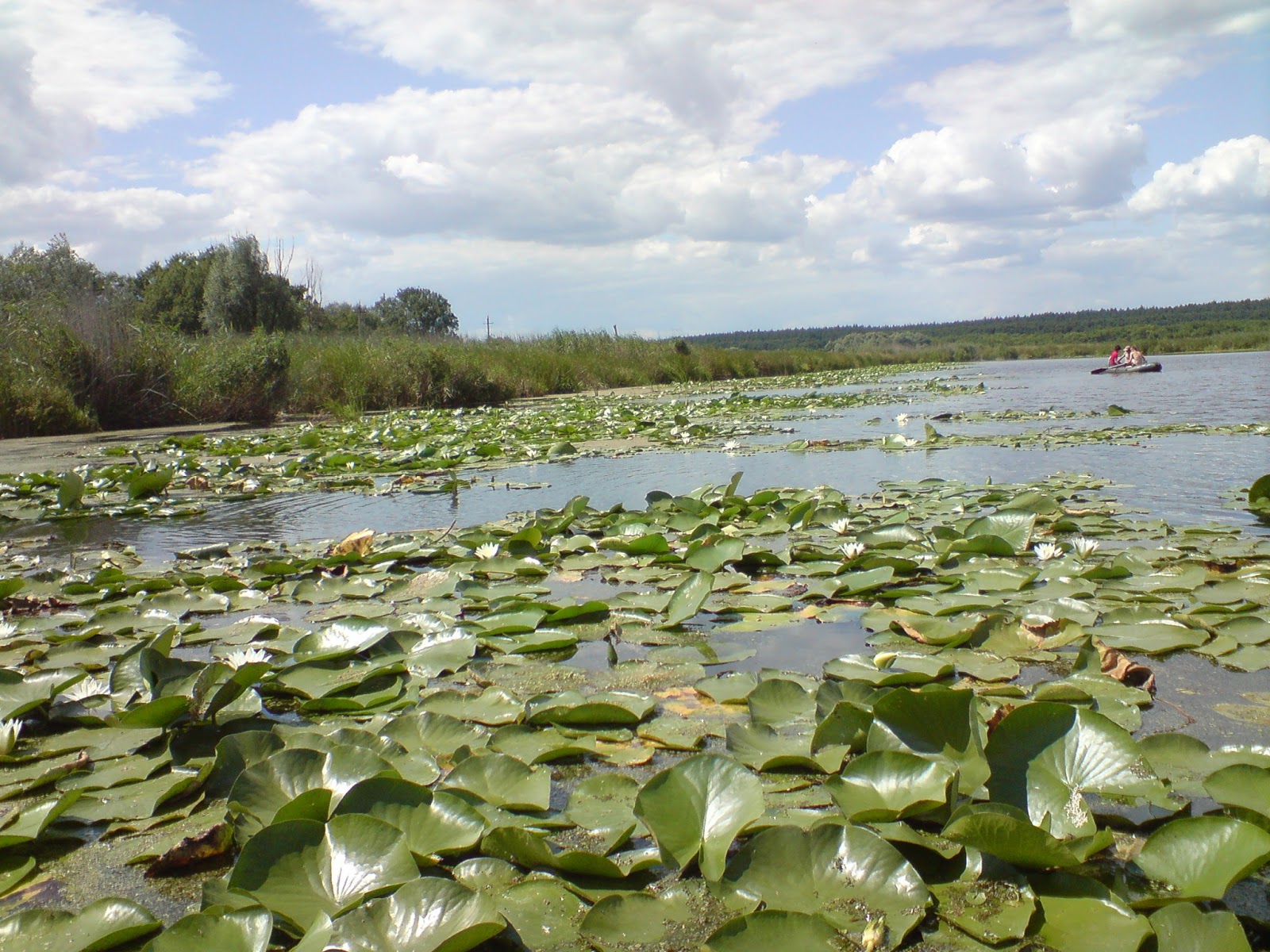 красный лиман голубые озера