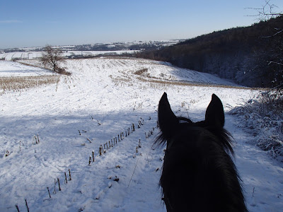 jazda konna w zimie, konie na śniegu