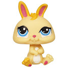 Littlest Pet Shop Tubes Rabbit (#1344) Pet