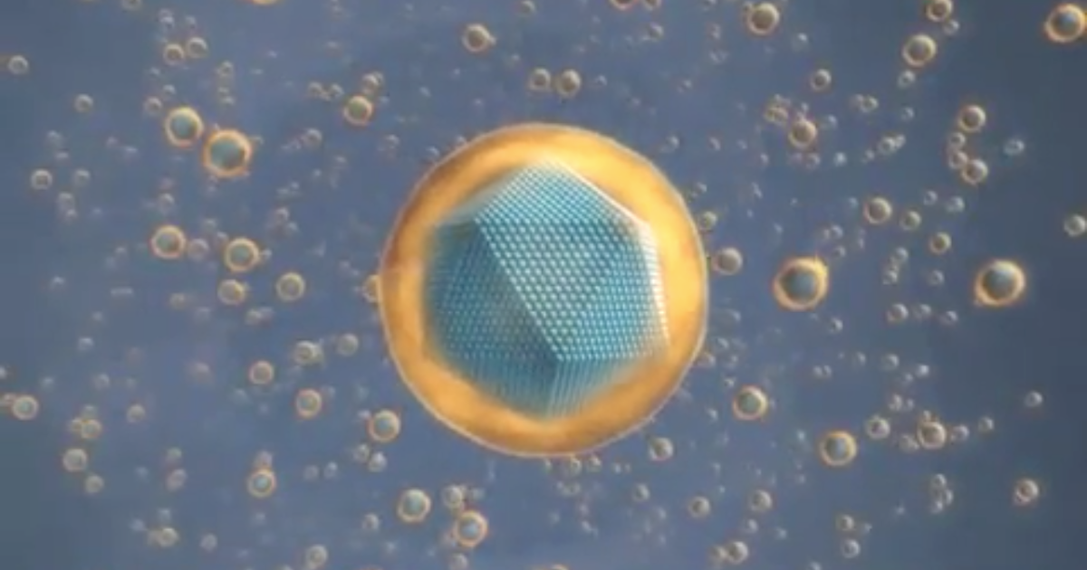 Nanoudla Nano X Ray Nanoparticles Lucha Contra El Cáncer