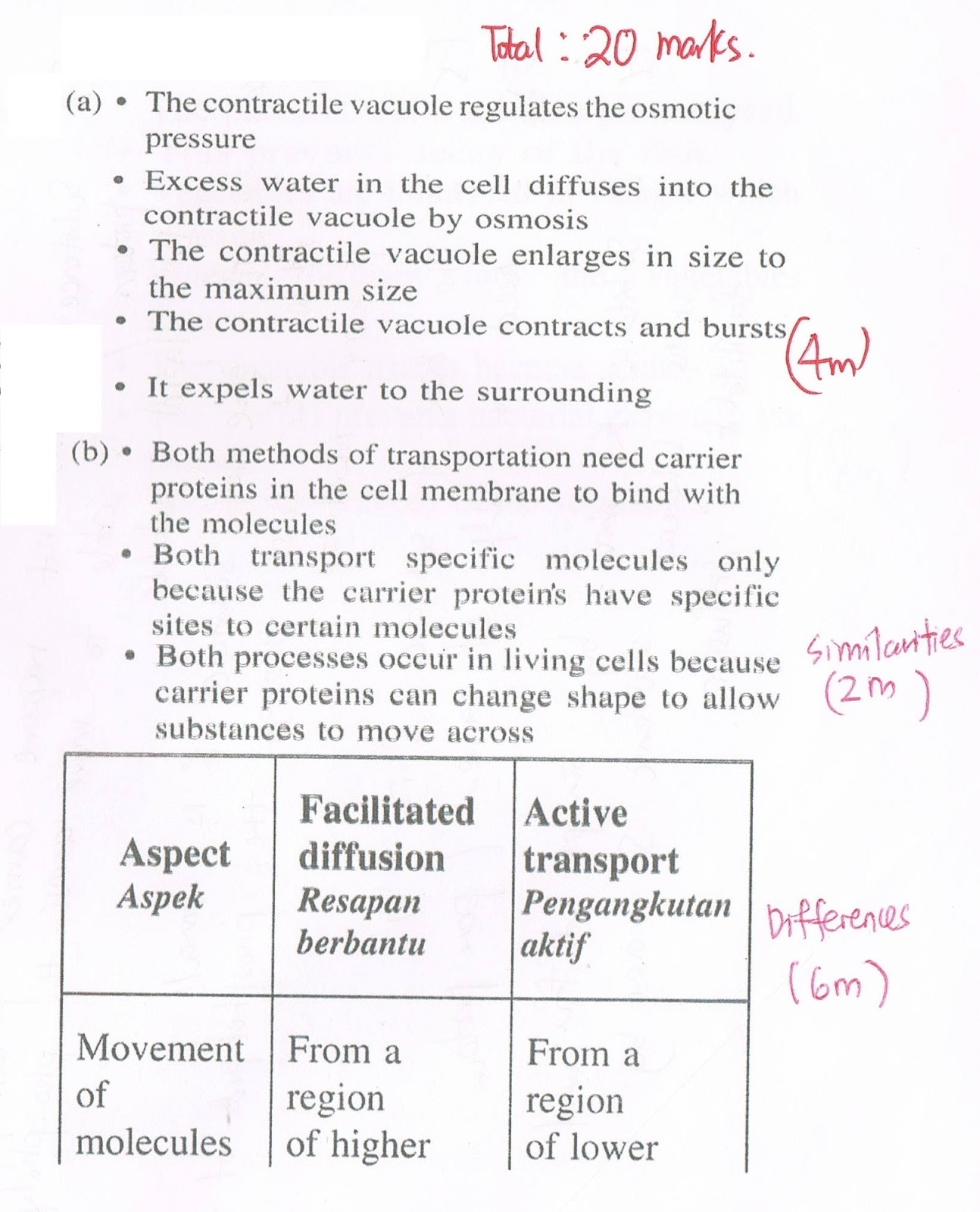 biology essays and answers pdf