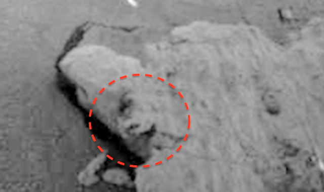 Strange face found on rocky object in front of Mars Rover UFO%252C%2Bsighting%252C%2Bnews%252C%2Bnasa%252C%2Bsecret%252C%2Brover%252C%2Bface%252C%2Brock%252C%2Bcuriosity%252C%2BSol%2B63%252C%2Bstatue%252C%2Bbiology%252C%2Blife%252C%2Bdiscovery%252C%2Bnew%2Bscientist%252C%2BTIME%252C%2BNobel%2Bprize%252C%2BScott%2BC.%2BWaring%252C%2BUFO%2BSightings%2BDaily%252C%2B1