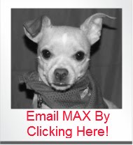 Email Max-He LOVES Fan Mail!