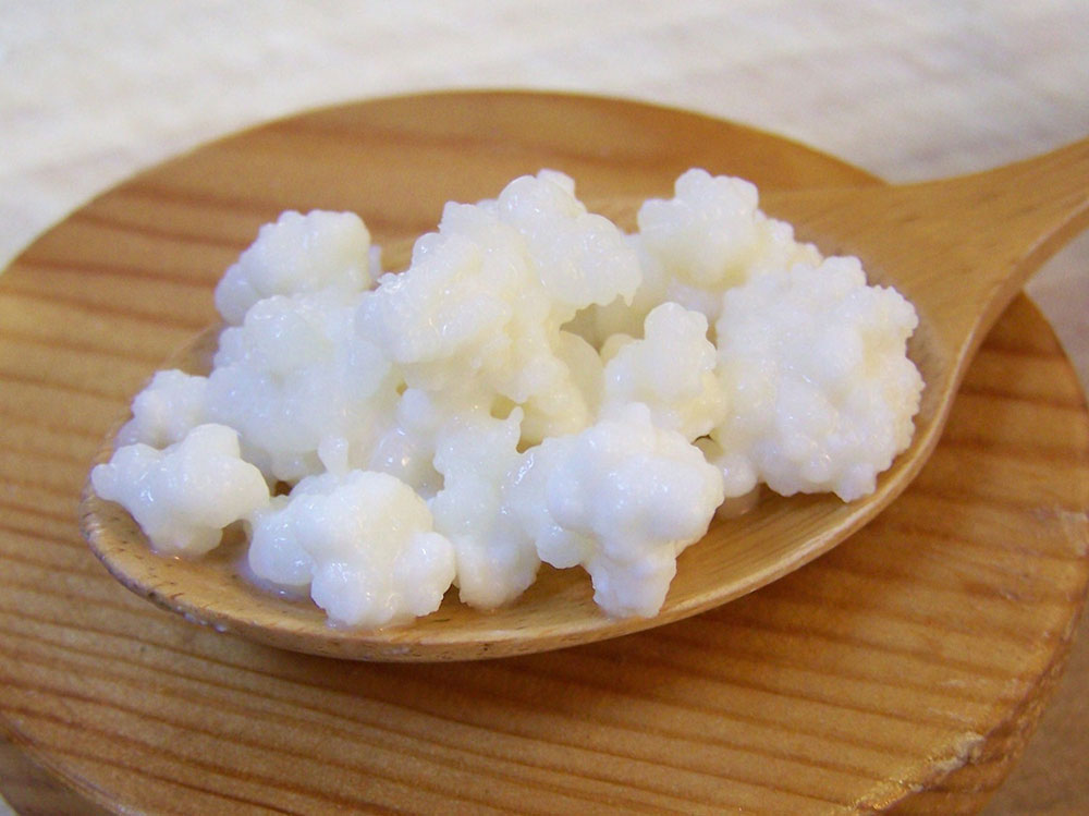 Kefir de Leite Kefir de Leite