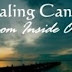 Healing Hunt Ottawa - (Becoming - The Cancer-Free Community) - A
Review and A Plan
