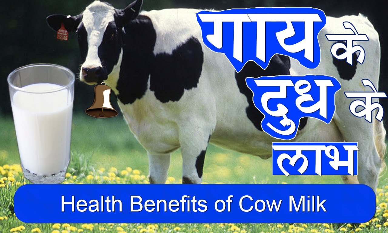 Health Benefits of Cow Milk for Brain & Skin in Hindi Healthy India