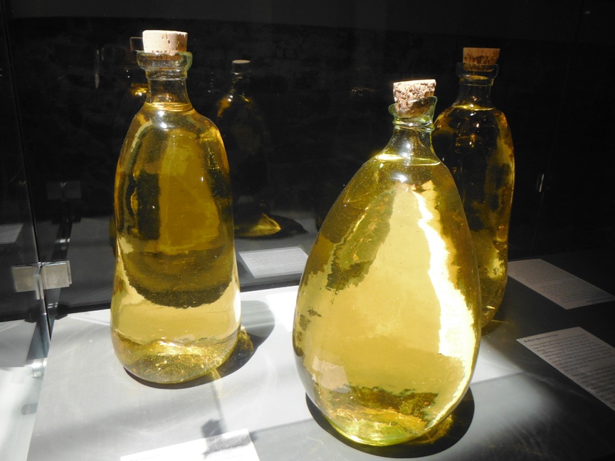 Environmental Geography Finity