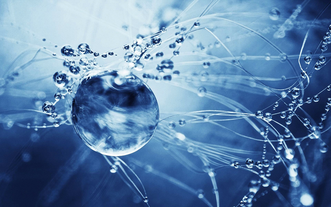 a sure word the first cell formed in the universal solvent first life form