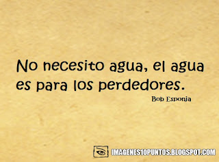 frases de bob esponja frases de bob esponja