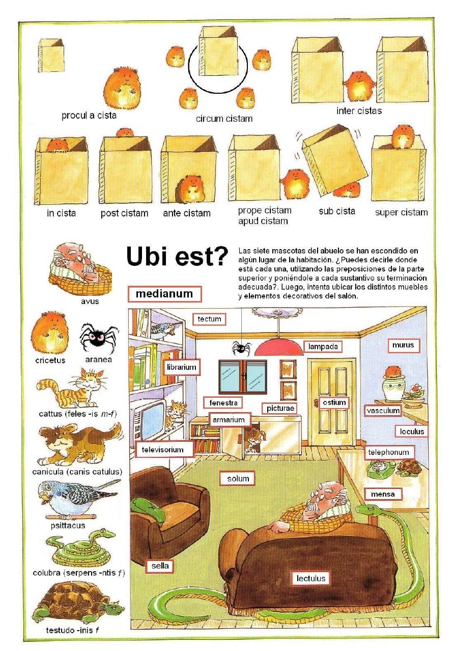 CLÁSICOS GOYA: Ubi est cricetus?