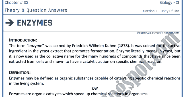 Good questions about enzymes picture