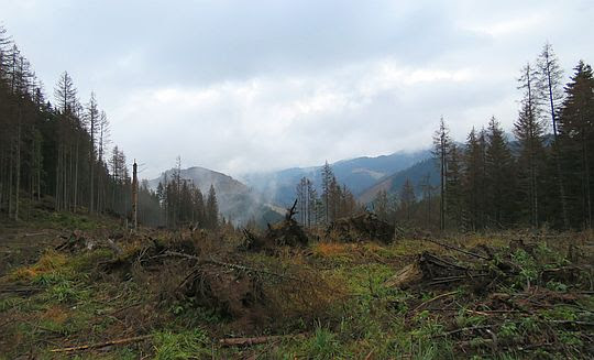 Kominiarska Przełęcz (1307 m n.p.m.). Kominiarska Przełęcz (1307 m n.p.m.).