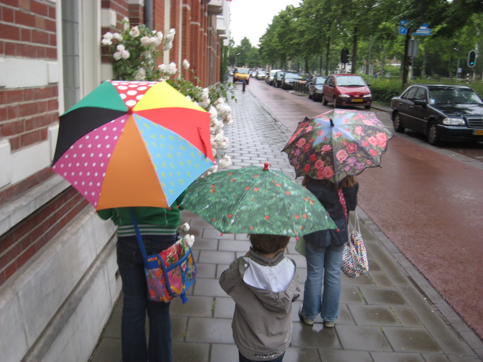 Iedere dag iets moois: zachtjes tikt de regen...