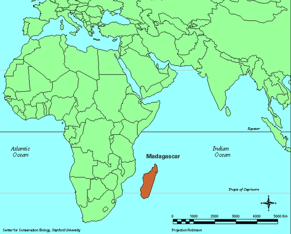 Madagascar Location On World Map