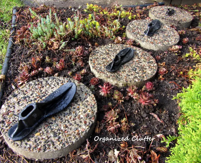 Stepping Stones & Iron Shoe Forms in the Succulent Garden www.organizedcluttedqueen.blogspot.com