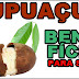Benefícios do Cupuaçu para saúde, cabelo e pele