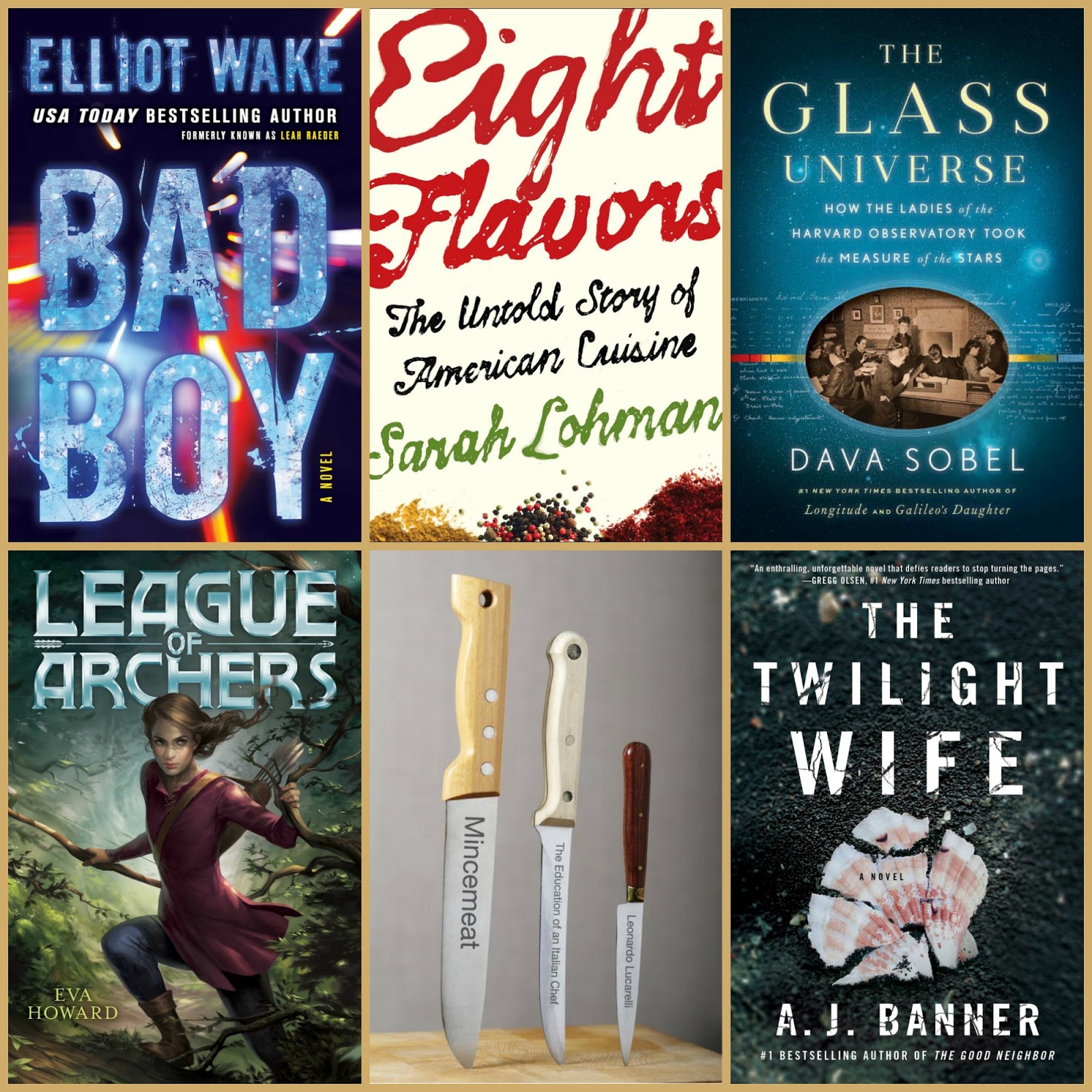 Beth Fish Reads: Stacked-Up Book Thoughts: 9 Books to Read in December