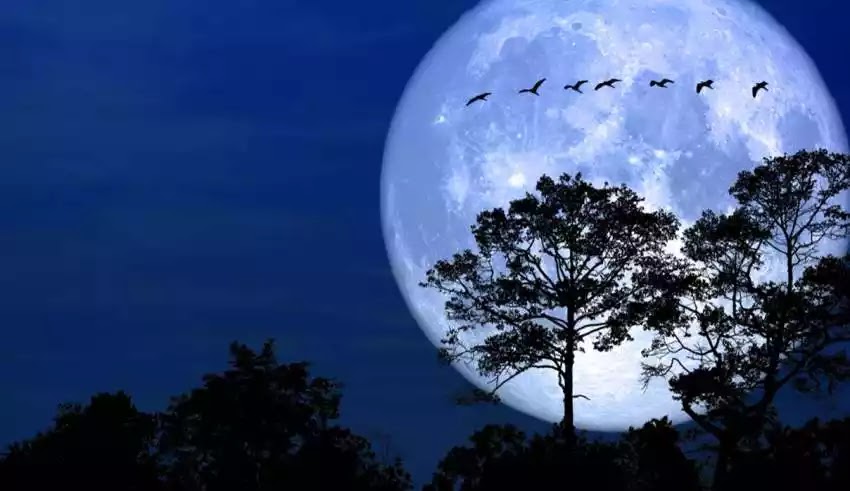 Το Παγωμένο Φεγγάρι πως βγήκε και τι δηλώνει:το πνευματικό νόημα και καταστροφικές επιπτώσεις στη Γη