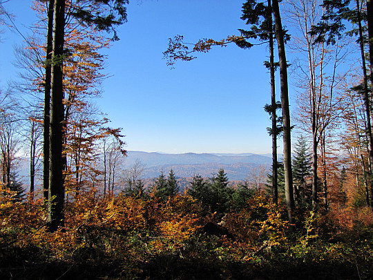 Panorama z Koziego Żebra na zachód.