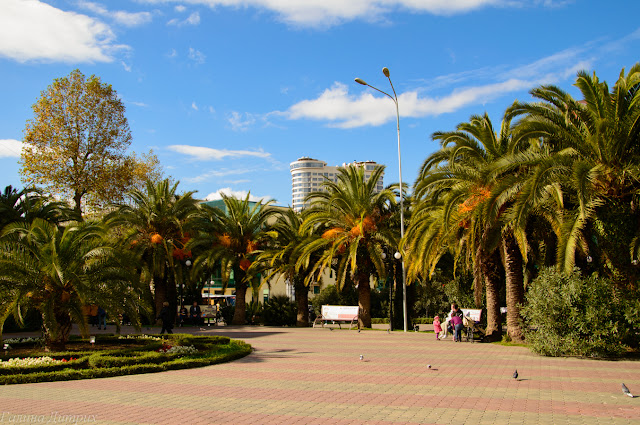 Сочи Путешествия: Сочи