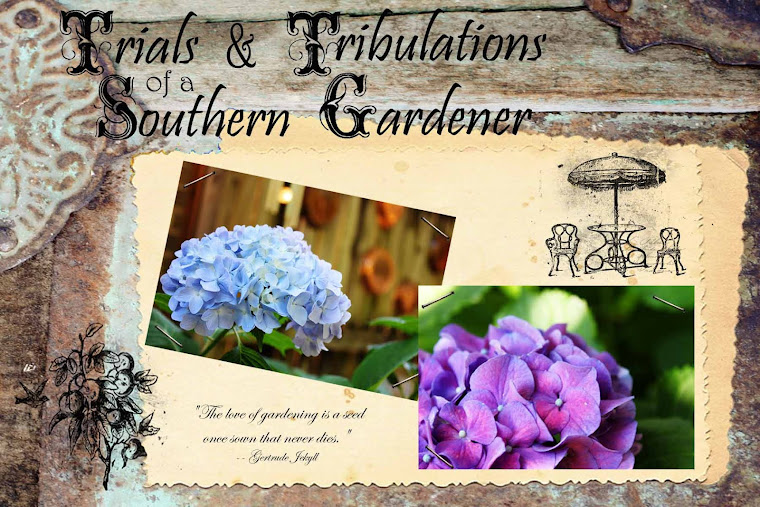 Trials & Tribulations of a Southern Gardener