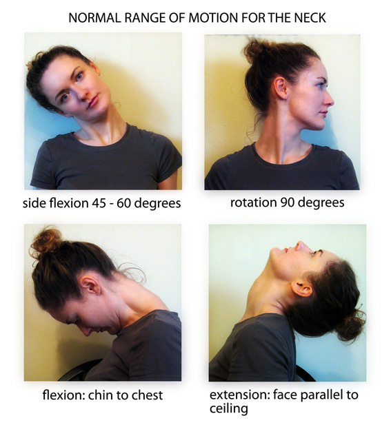 Twins & Tangents Class 3 Week 4 Range of Motion in the Human Body