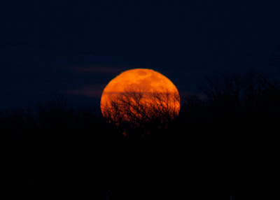 big orange full moon