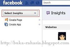 Facebook Insights Lihat Perkembangan Blog/Website di Facebook