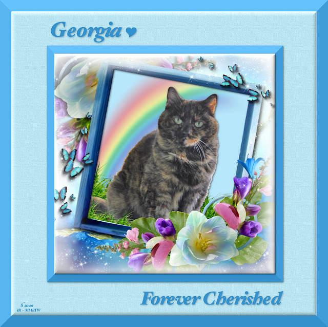 Georgia Forever