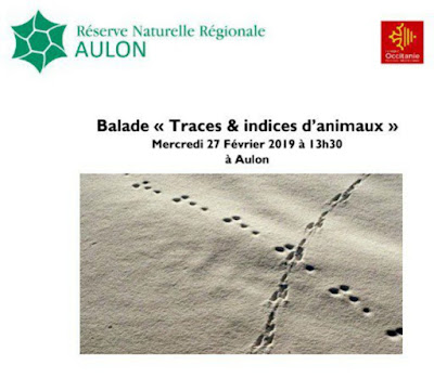Sortie nature en Réserve naturelle régionale d'Aulon Pyrénées