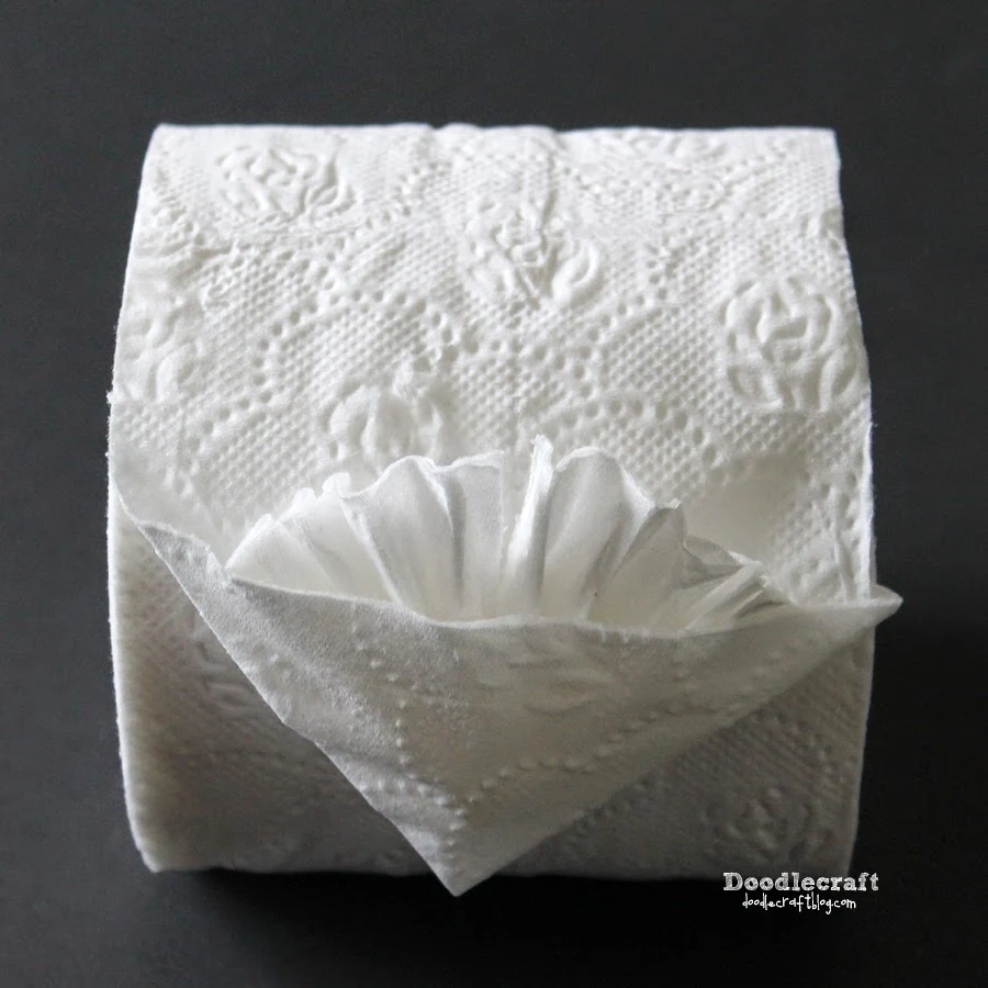 Fancy Toilet Paper!