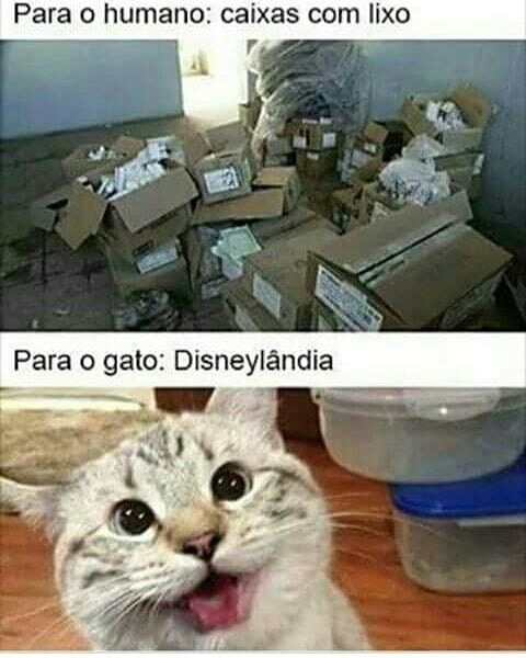 Memes engracados Memes engracados