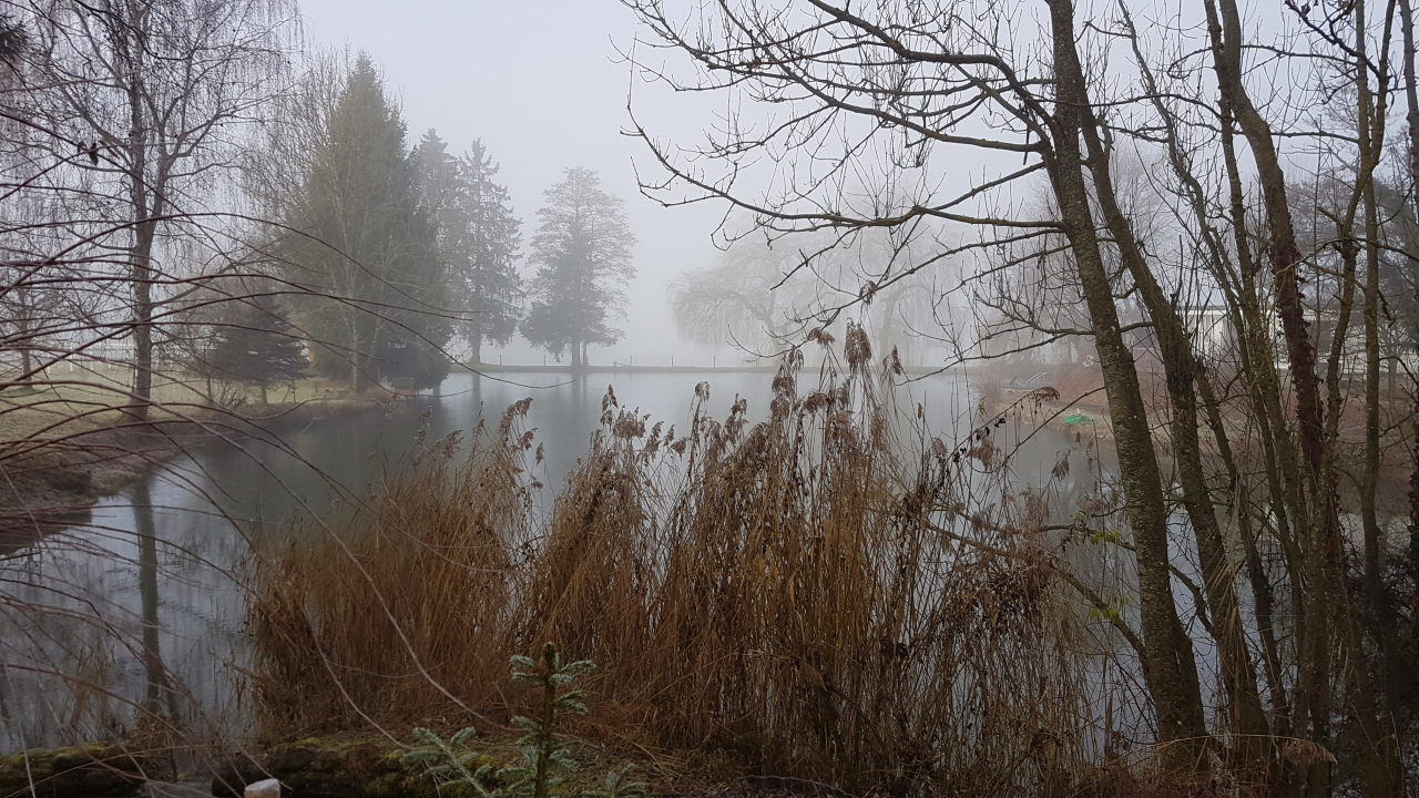 Bilder Und Texte Zu Meinen Wanderungen Mit Hund Auch Im Thurgau Uber Dem Nebel