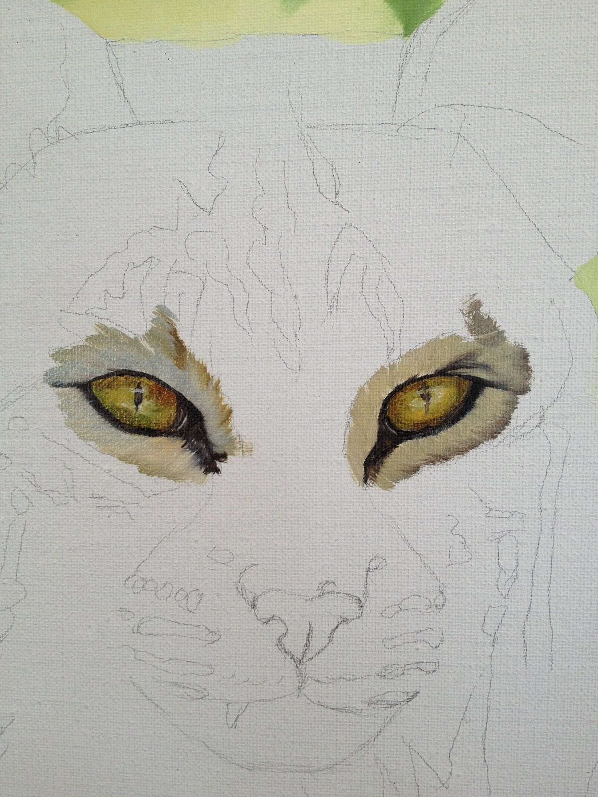 Laura's Wild Life "How to Paint Cats Eyes"