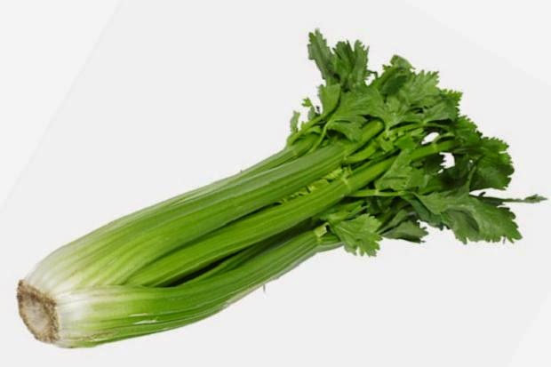daun daunan apotik hidup untuk herbal daun celery daun daunan apotik hidup untuk herbal daun celery