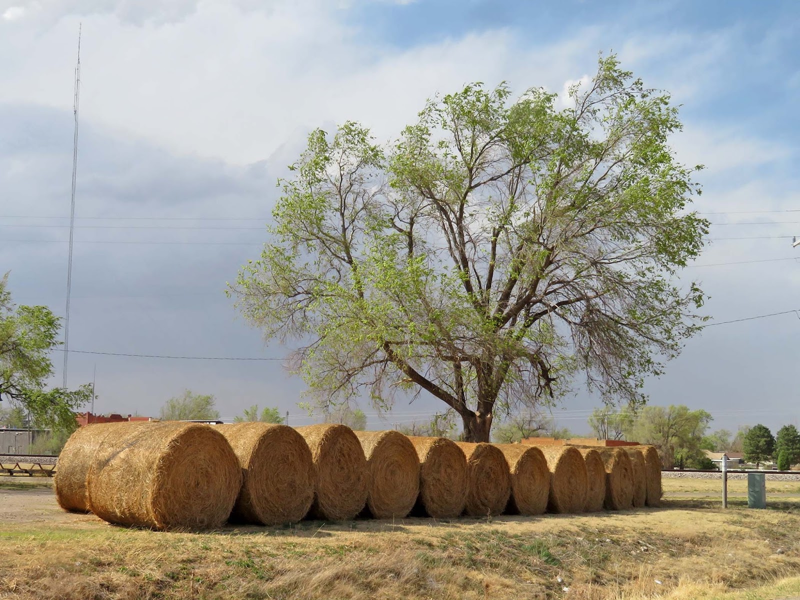 Geographically Yours Goodwell, Oklahoma, USA