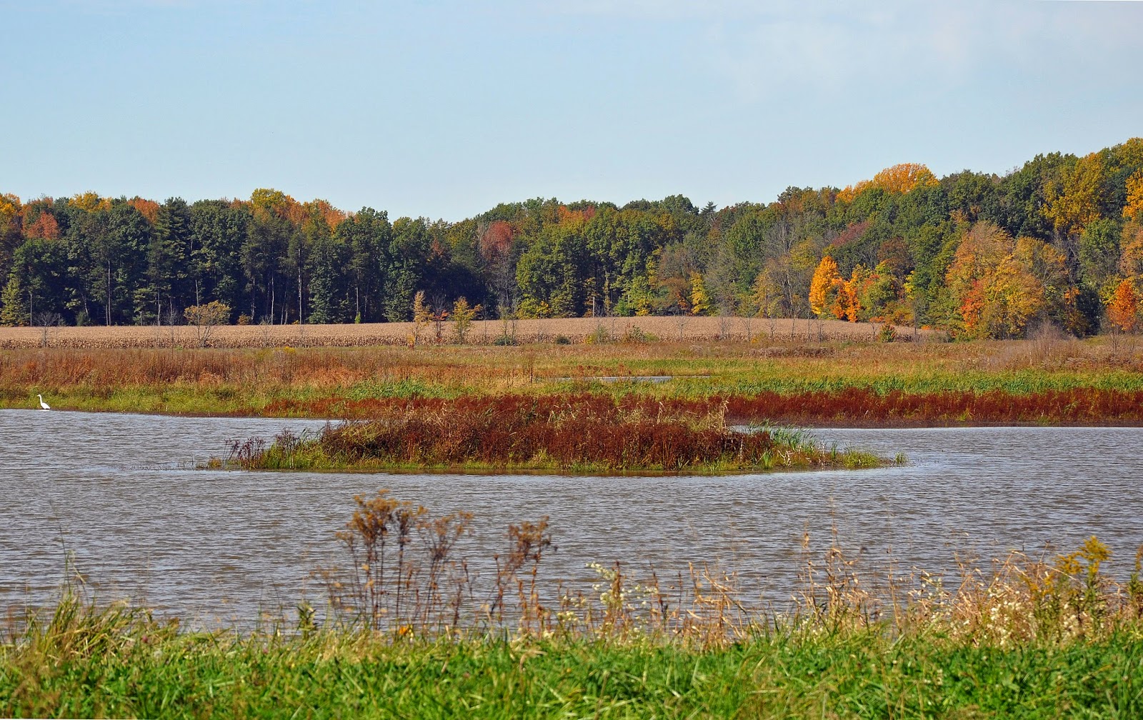 It's The Journey... Goose Pond and Autumn in Indiana