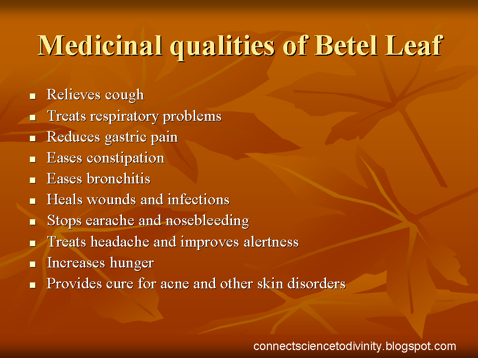maycintadamayantixibb Betel Leaf Water Health Benefits