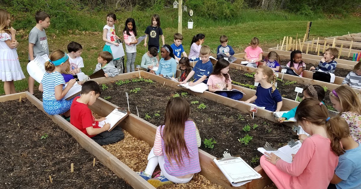 davis-elementary-school-garden-getting-started-in-the-garden
