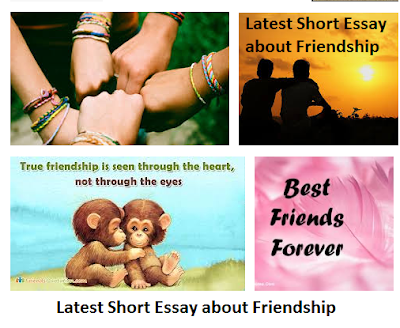 short essay on true friendship I can honestly say she is a true friend not many people can sit here and write an essay about their true friends, because the next day. short essay on true friendship I can honestly say she is a true friend not many people can sit here and write an essay about their true friends, because the next day.