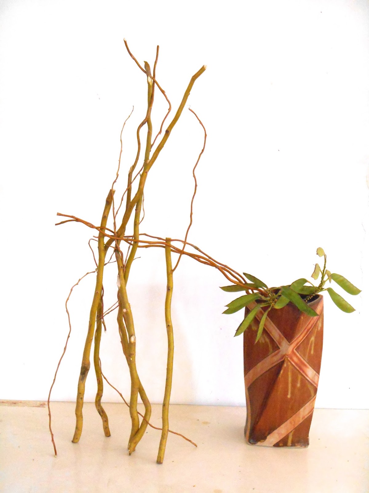 ikebana lessons Tucson Ikebana afternoon class